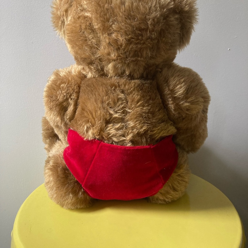 Vermont teddy bear - Picture 3 of 4